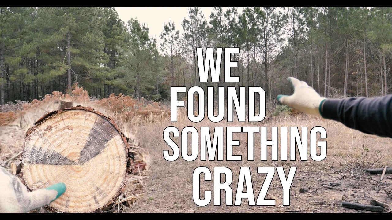 We Found Something Crazy While We Where Clearing Brush!