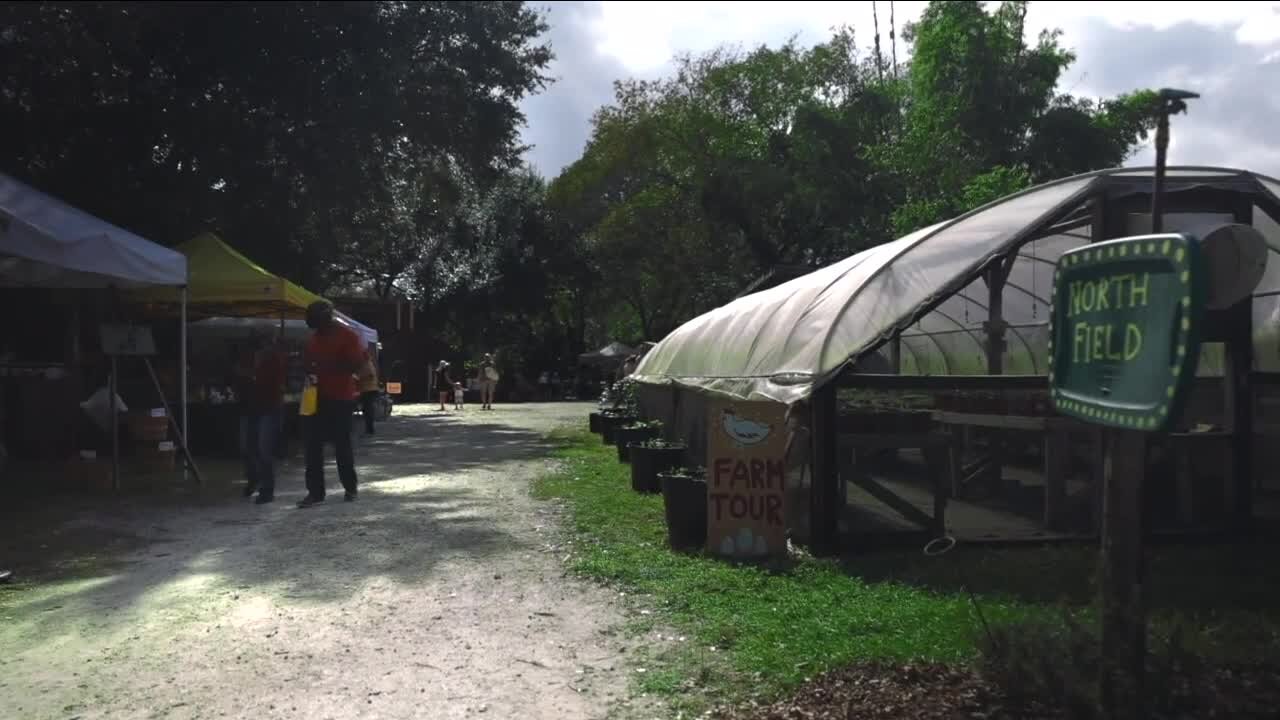 Florida's Insurance Crisis: A non-profit community farm hit with $15K flood insurance bill