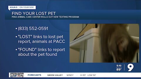 PACC introduces new texting program for lost or stray pets