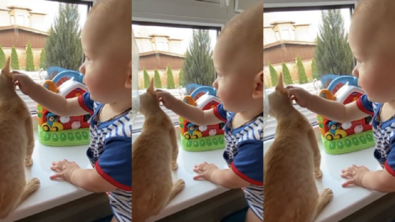 Baby vs Cat 😘 🐈