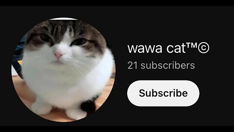 @wawa.cat1 Dis you?