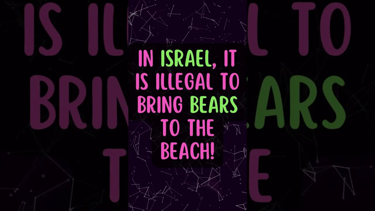 🐻✡Interesting Facts! 👀 #shorts #shortsfact #facts #generalfact #interestingfacts #israel #bear