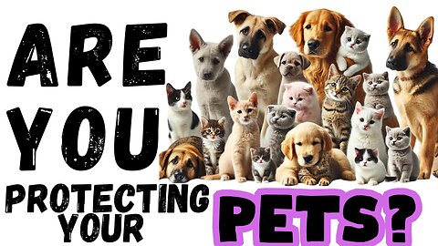 THEY ARE HARMING YOUR PETS! HERE IS HOW TO PROTECT THEM! SPECIAL - REPLAY