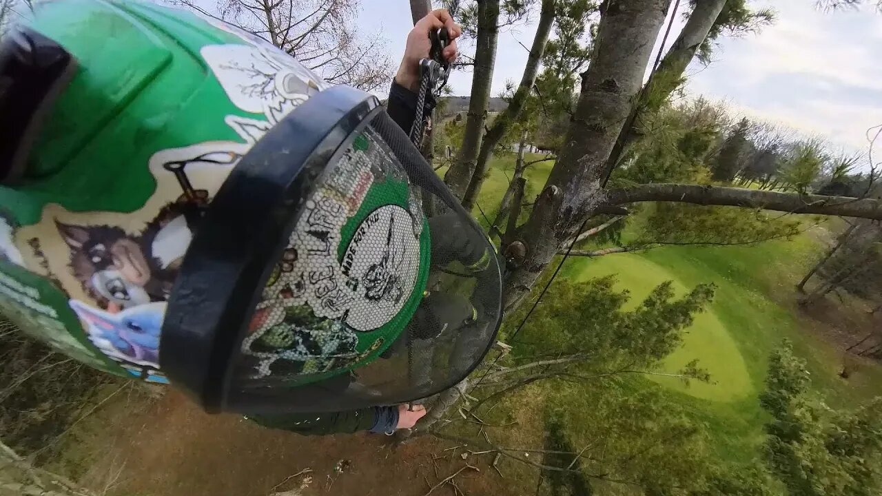 Bombing out of the tree on the Bulldog Bone