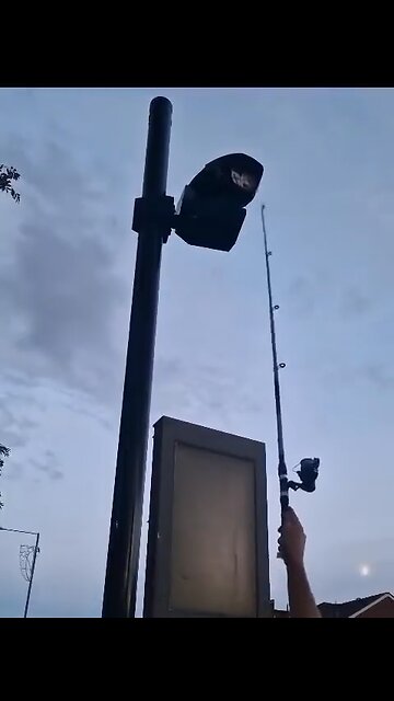 Blade Runners' Crusade: Disabling ULEZ Cameras in London | ULEZ