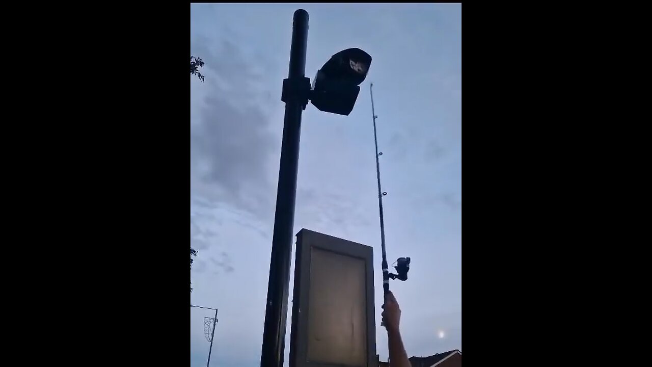 Blade Runners' Crusade: Disabling ULEZ Cameras in London | ULEZ