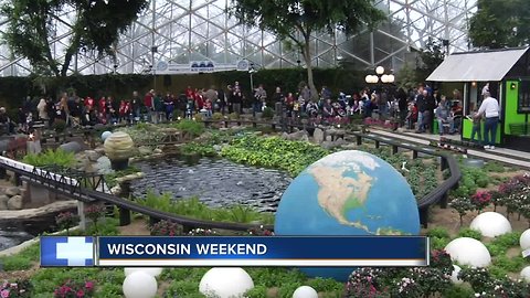 Weekend Events: Things to do as the weather warms up