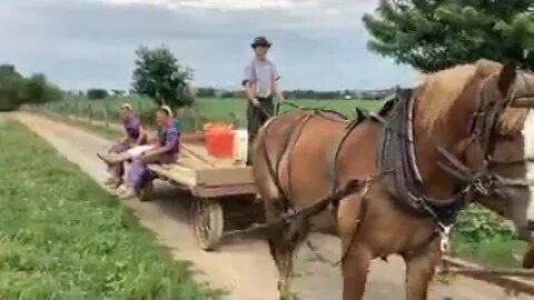 Amish Kids