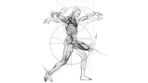 What are some interesting details about the human body?
