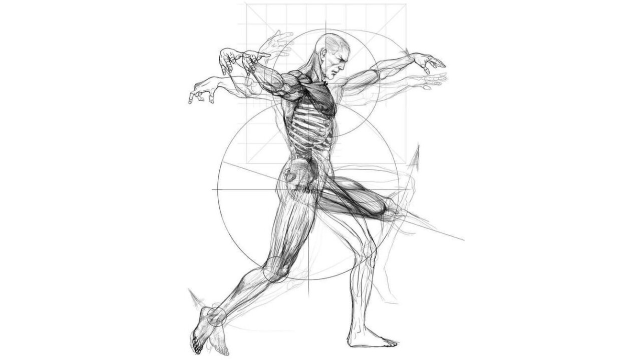 What are some interesting details about the human body?