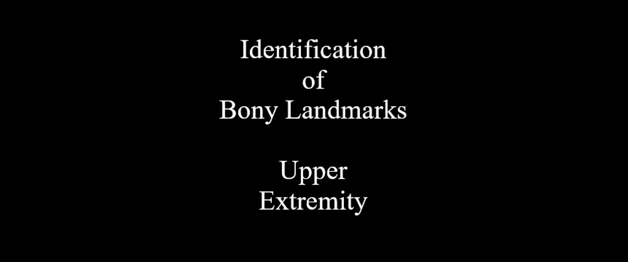 Identification of Bony Landmarks - Upper Extremity - Clavicle Scapula Humerus Ulna Radius Hand