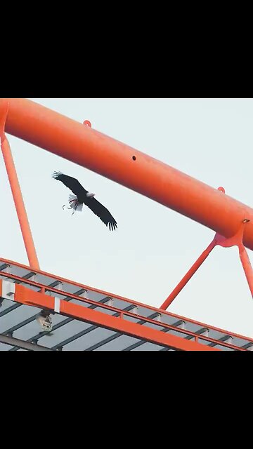 Brentford pre season