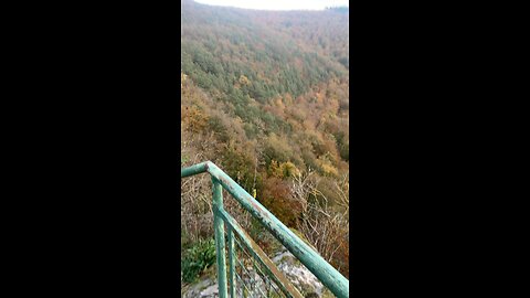 Tief im wald