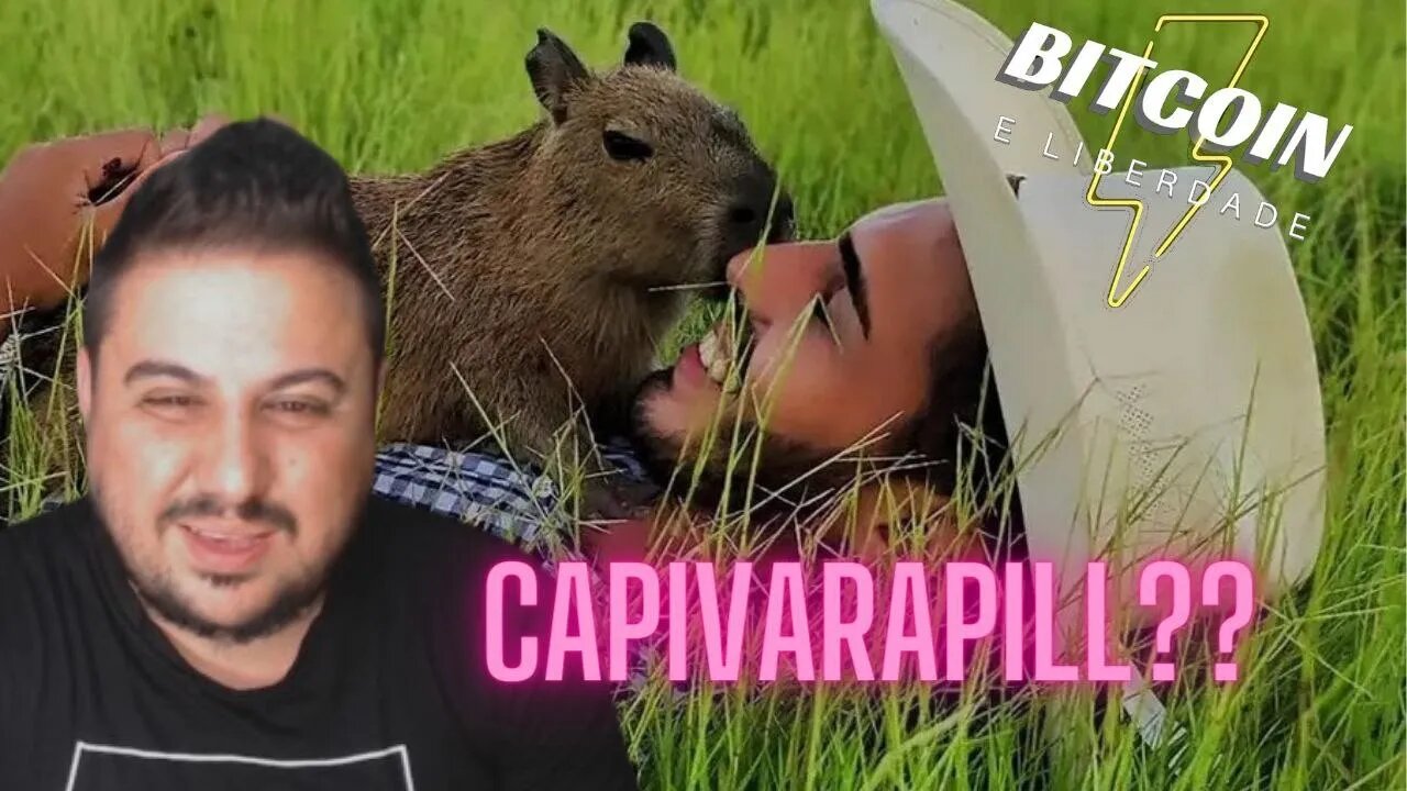 A Capivara Filó e a Cortina de Fumaça