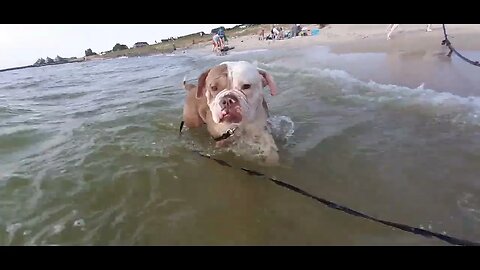 Famke en Winnie bij Stavoren beach