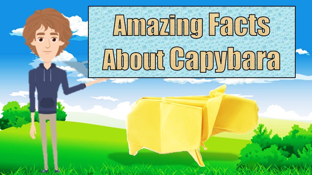 Amazing Facts About Capybara