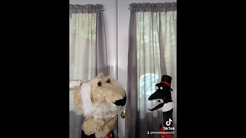 lm #indiefilmaker #MomsofTikTok#kidsoftiktok #dadsoftiktok#tiktokpuppet #pressconference