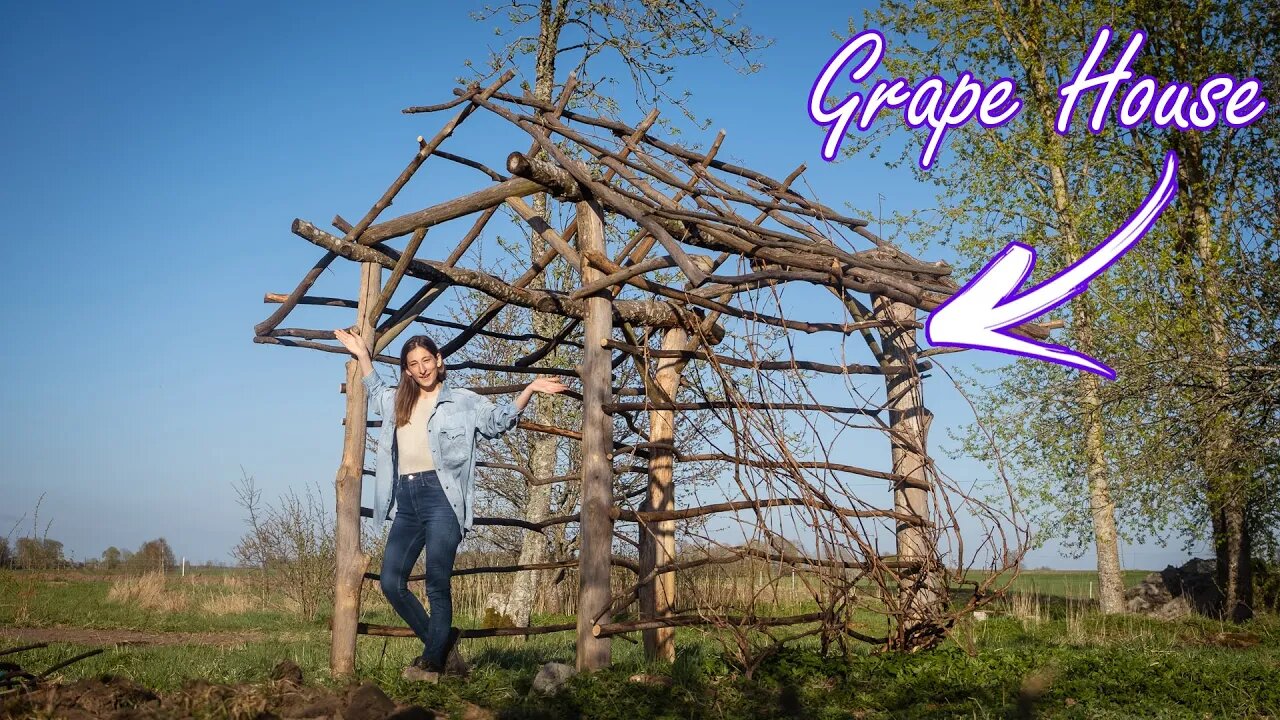 Building a Grape House