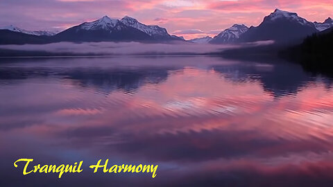 Tranquil Harmony: 10 Minutes of Pure Meditation Bliss