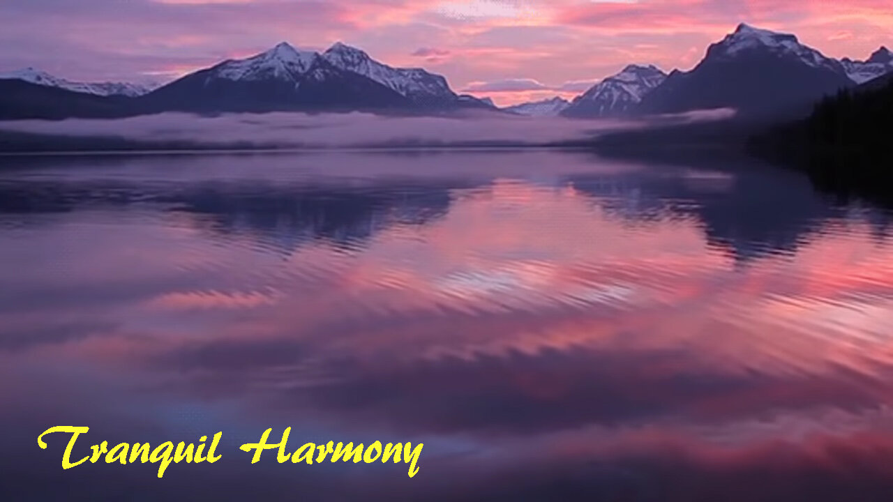 Tranquil Harmony: 10 Minutes of Pure Meditation Bliss