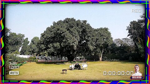 PM Modi feeds cows on Makar Sankranti at his residence