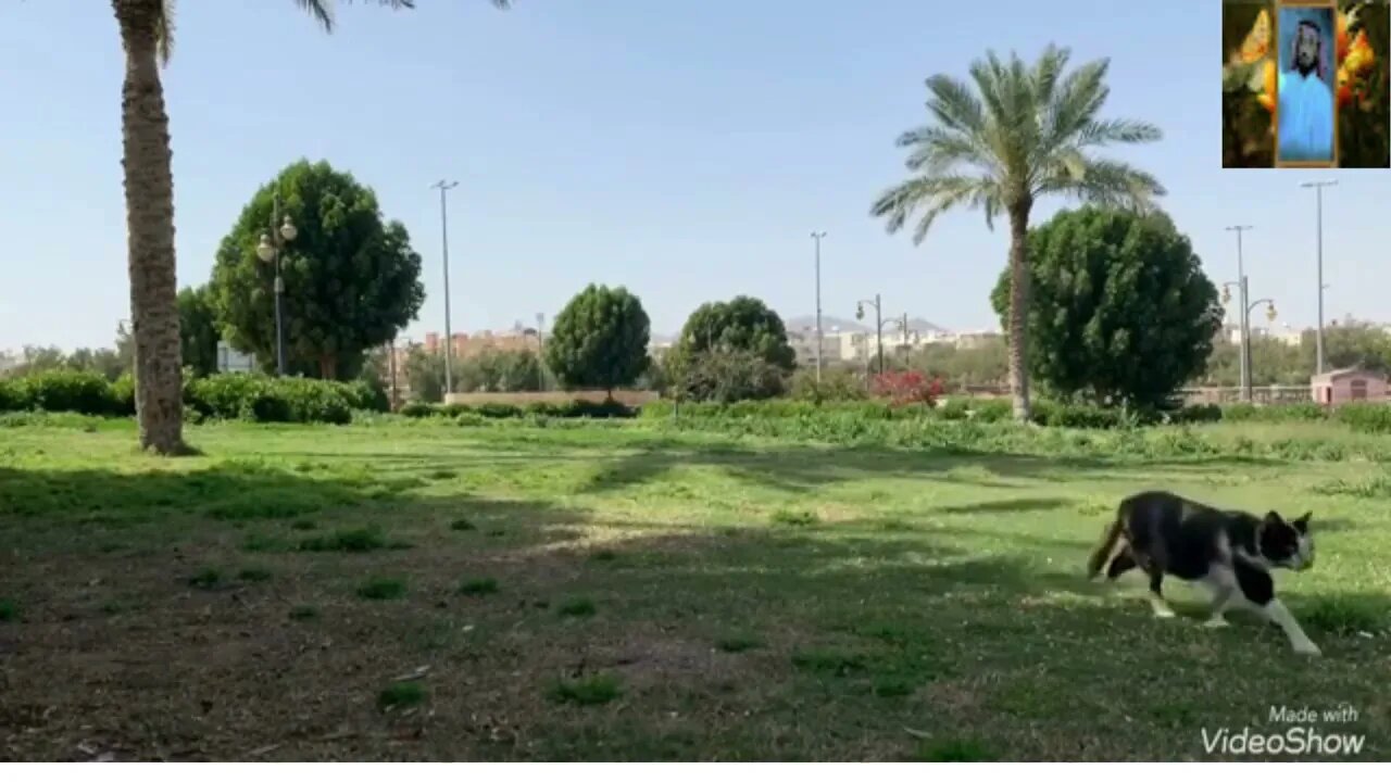 باوەڕ بە خوای گەورە