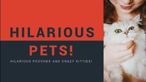 the cutest and funiest pets ever!