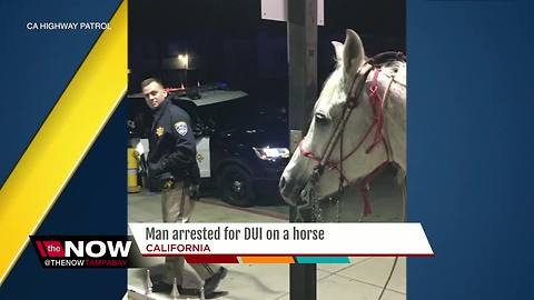 Police arrest drunken California man for riding horse on highway