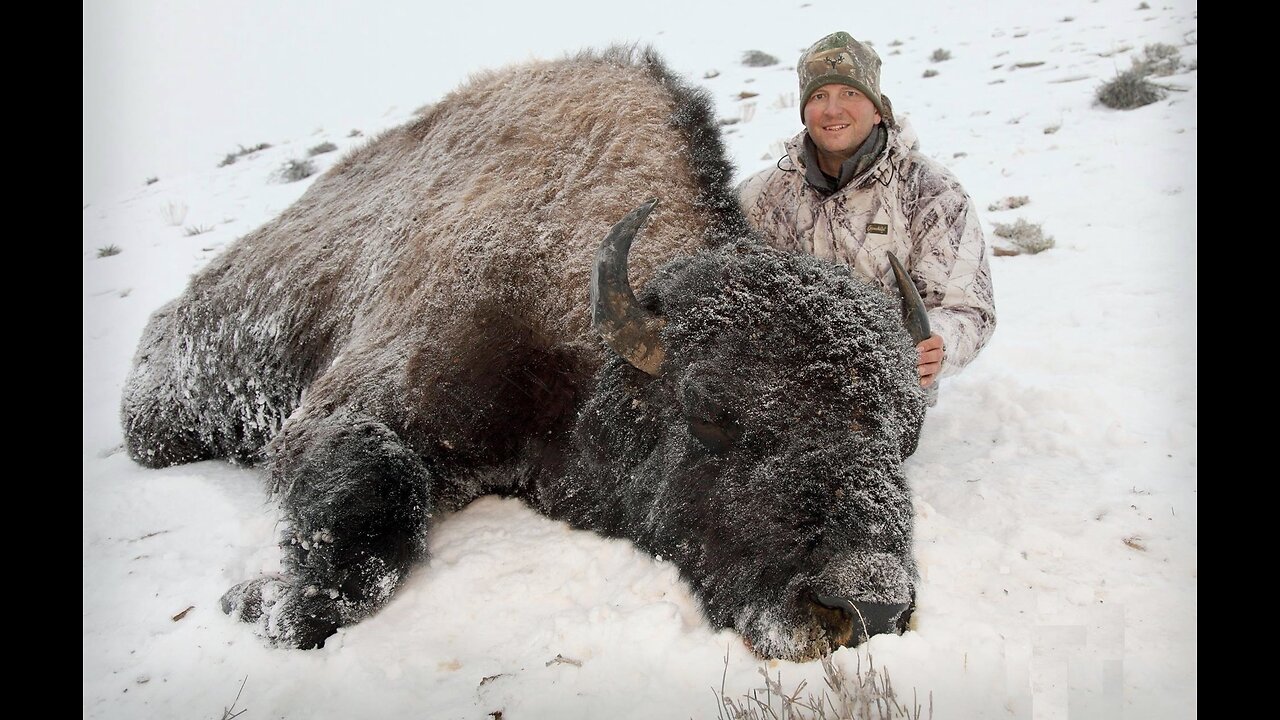 Bison Hunt, Utah Book Cliffs-Full Movie Version