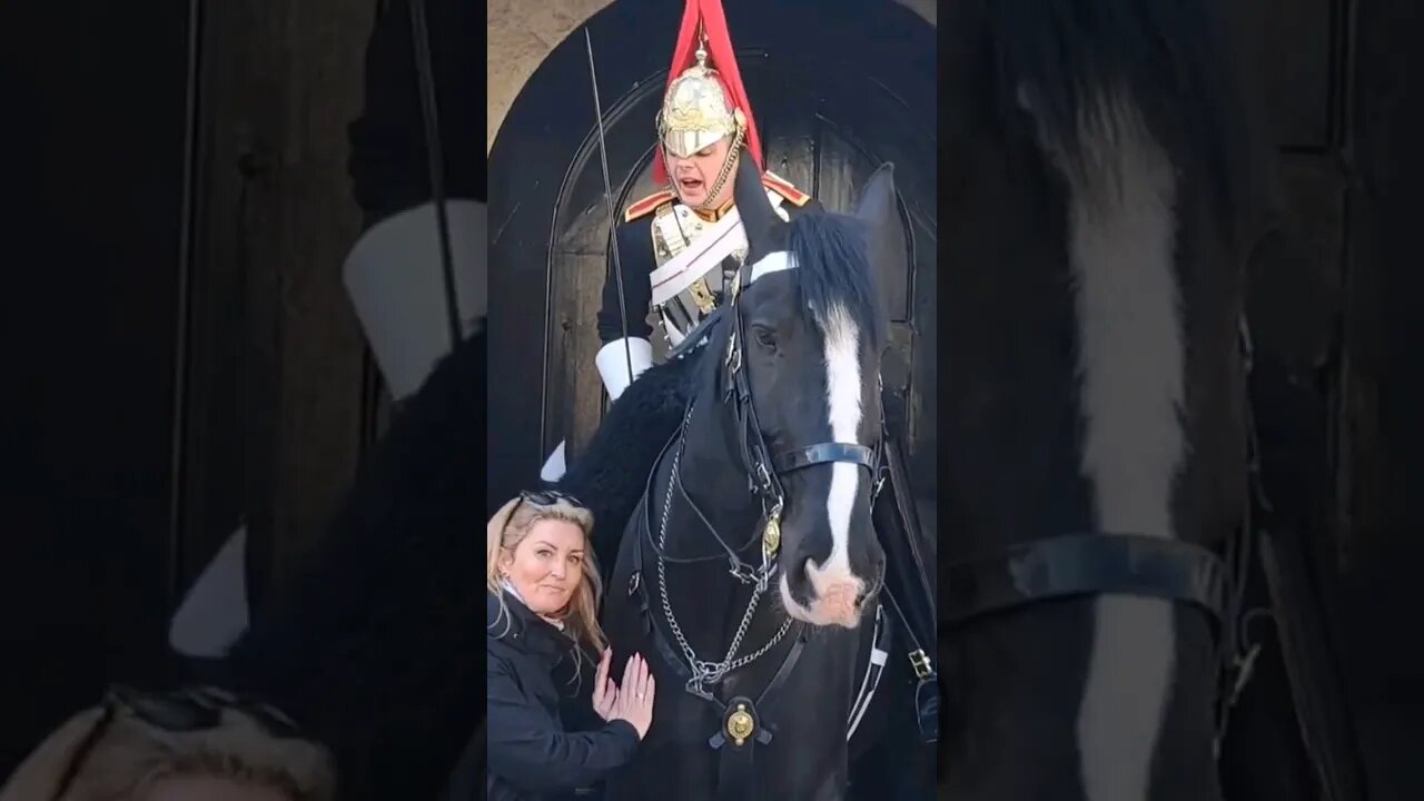 She leans on the horse #horseguardsparade