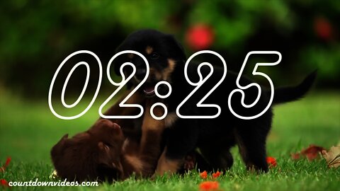 5 Minute Timer🐶🐶Cute Puppies & Puppy Music