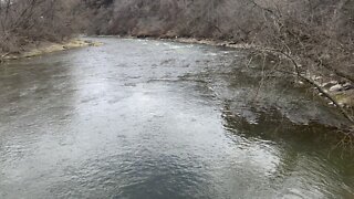 Humber River James Gardens Toronto