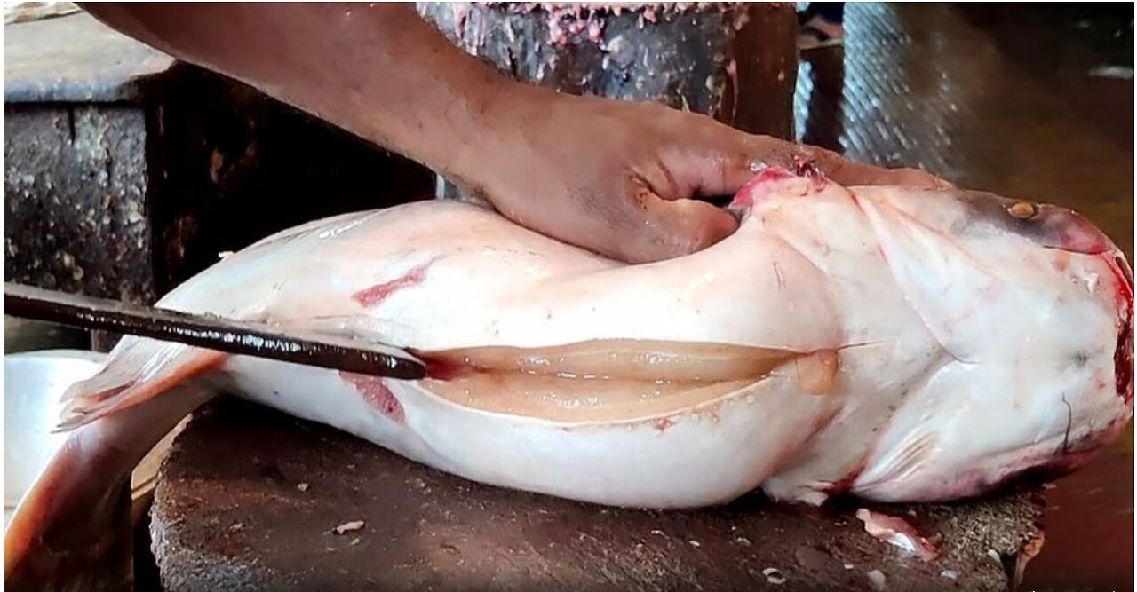 How He Cutting Big Catfish Amazing Big Pangas Fish Cutting Skills Fish Market