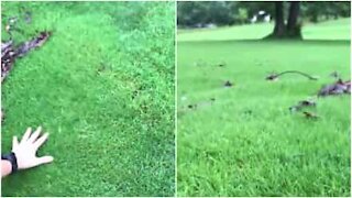 Campo da golf si trasforma in materasso d'acqua