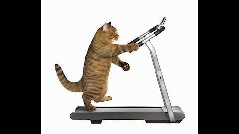 CAT is working out !!!