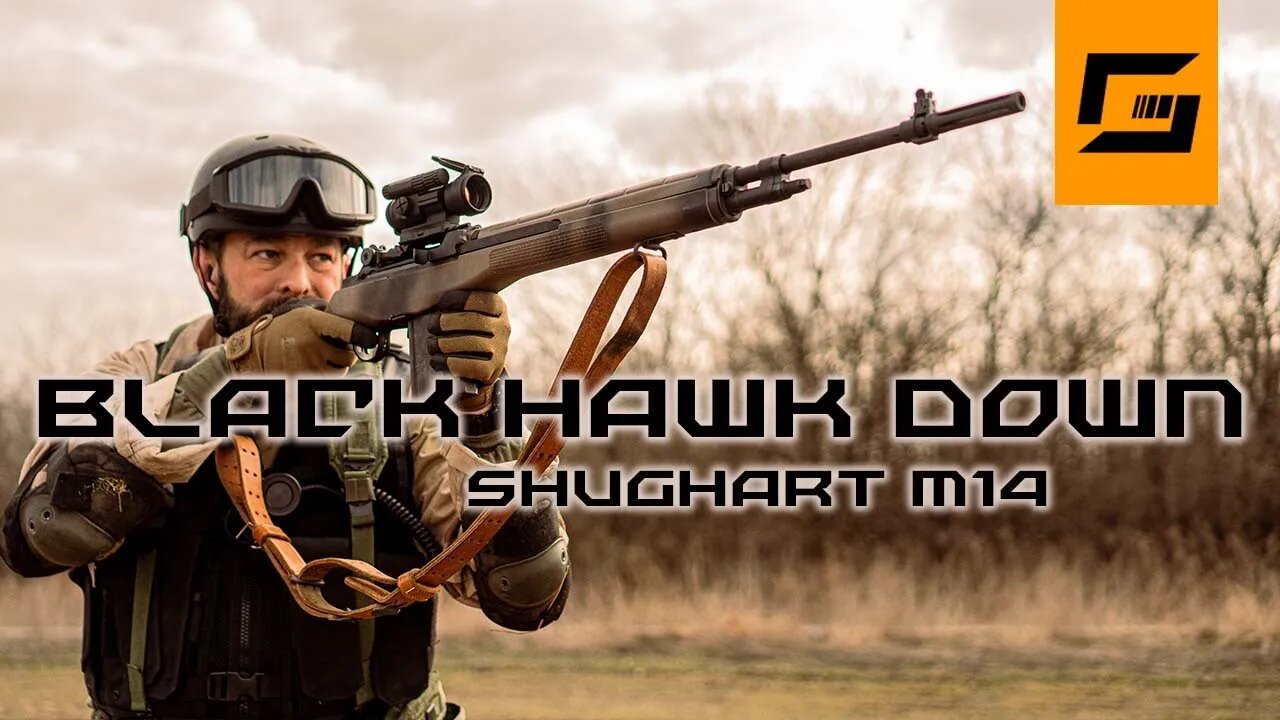 Black Hawk Down Guns: The Shughart M14