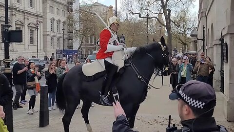 Horse returns for the second time but won't settle #horseguardsparade