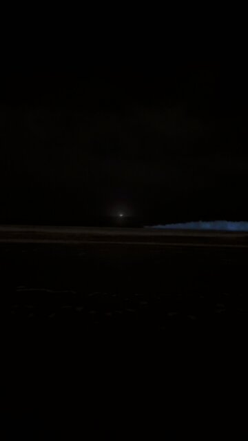 #bioluminescent #bioluminiscente #alge #ocean #aesthetic #video #ocean #bioluminescence #fyp