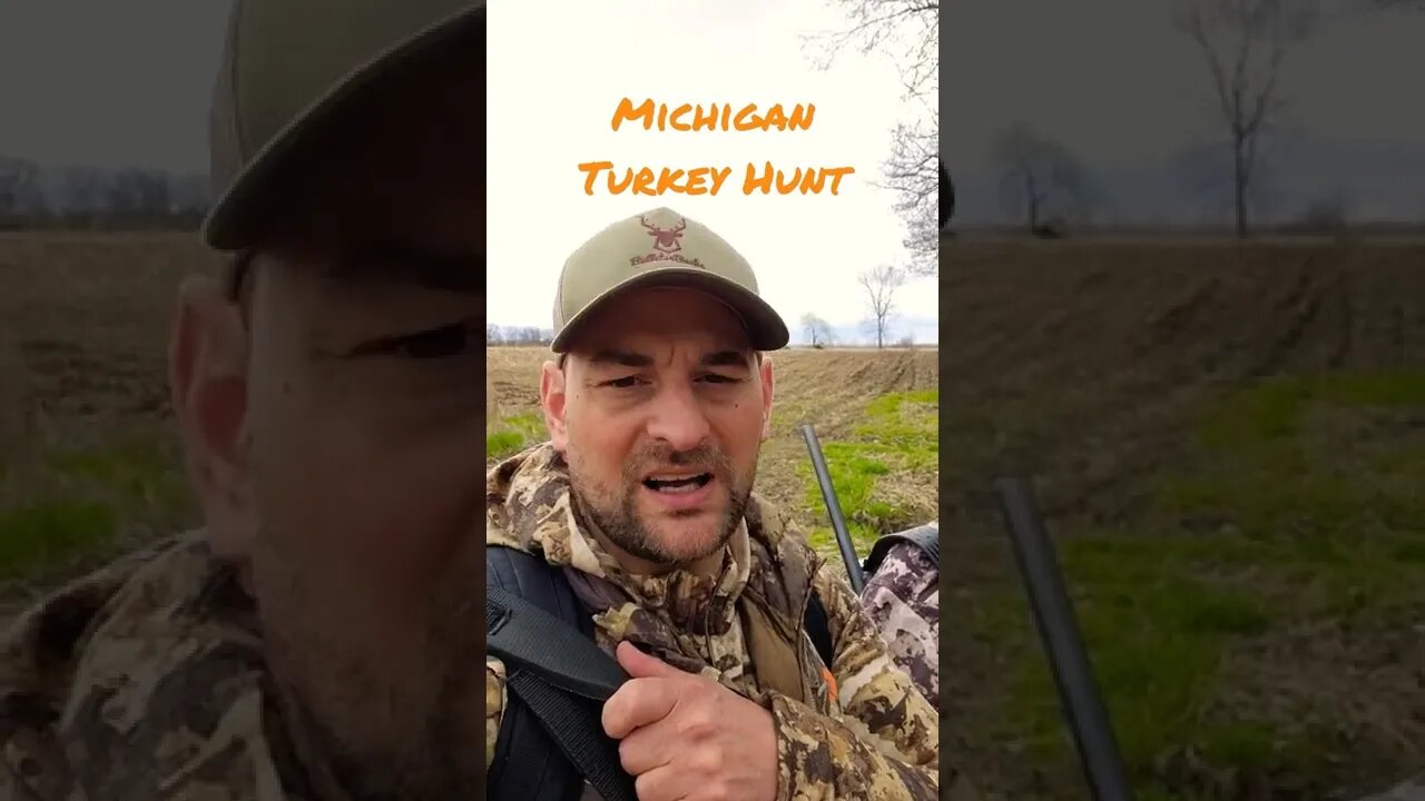 Michigan Turkey Hunt!