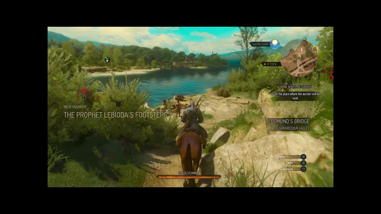 The Witcher 3: Wild Hunt Part 151-Killer Plants