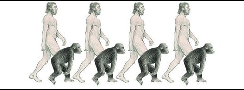 Teoria da evolução de Darwin, uma teoria em crise | PARTE 1