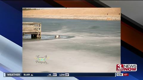 Dog falls into icy Lake Zorinsky