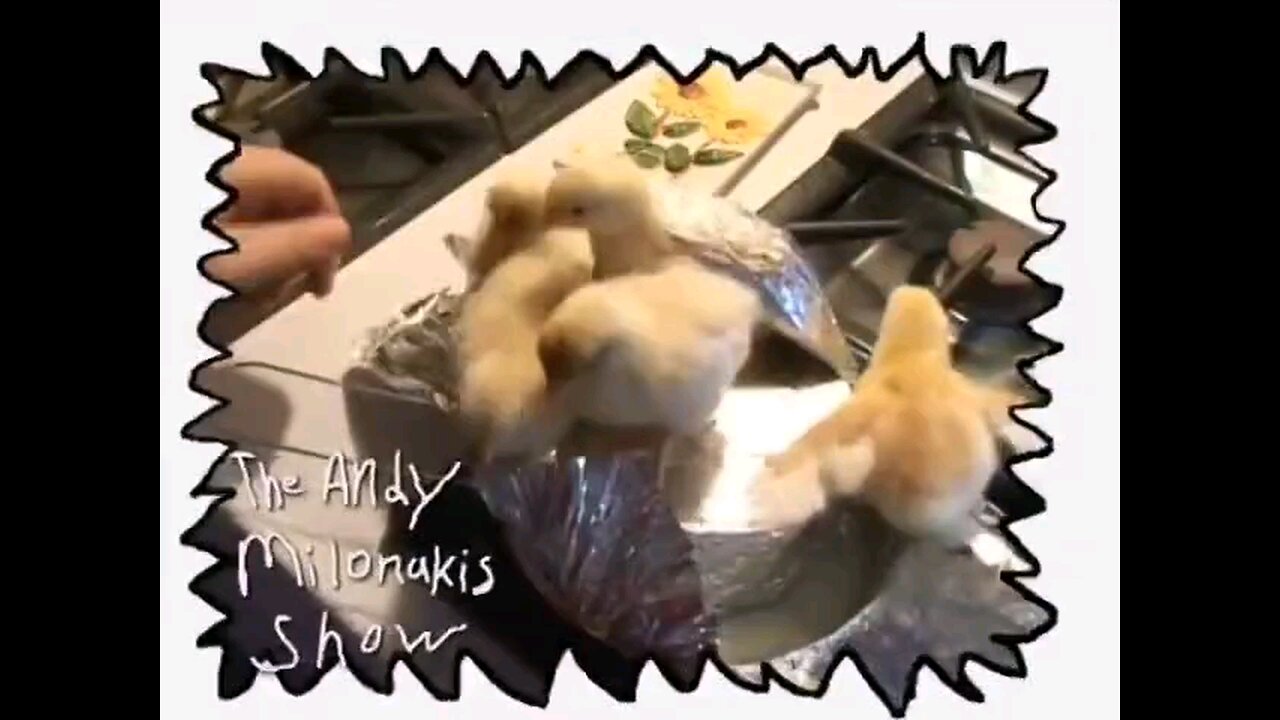 The TalenMilo AndyMakis Show S1 E1