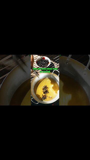 WOULD YOU EVER EAT A TARANTULA?