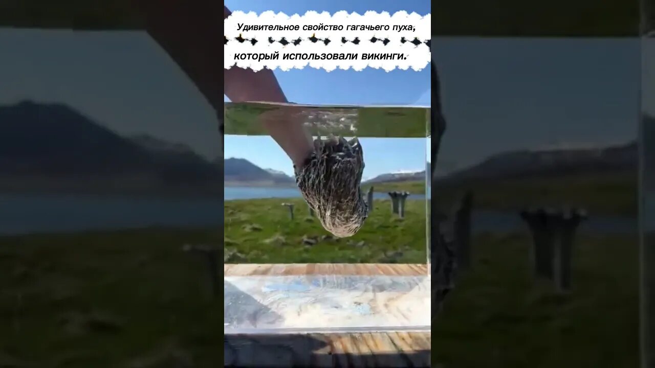 Пух который использовали викинги 🧙‍♂️