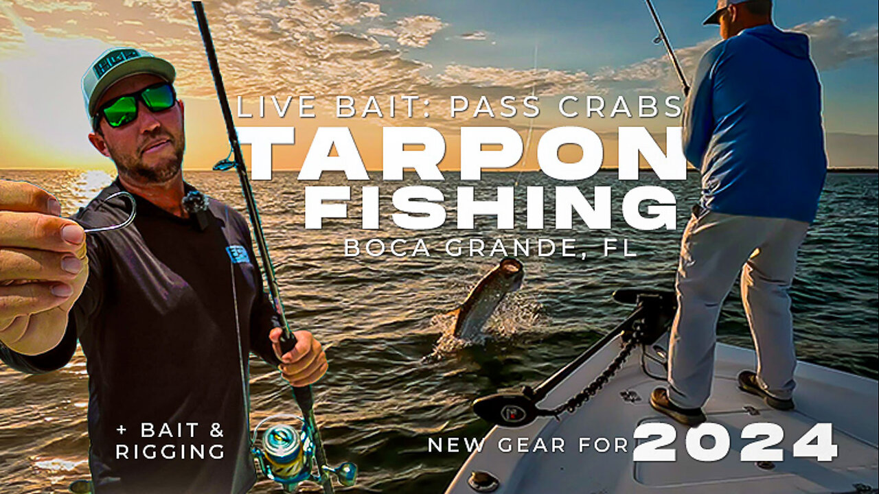 Catching Tarpon with Crab in Boca Grande! The Silver King Capital of the World New Fishing Gear 2024