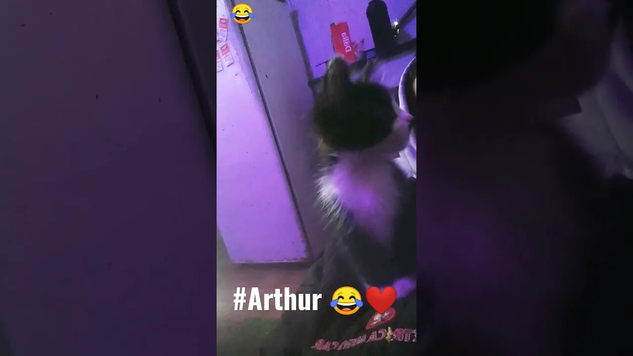 bomm Diaaaa Campeão.