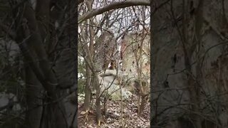 Abandoned Native American Resort Mansion Pt. 3