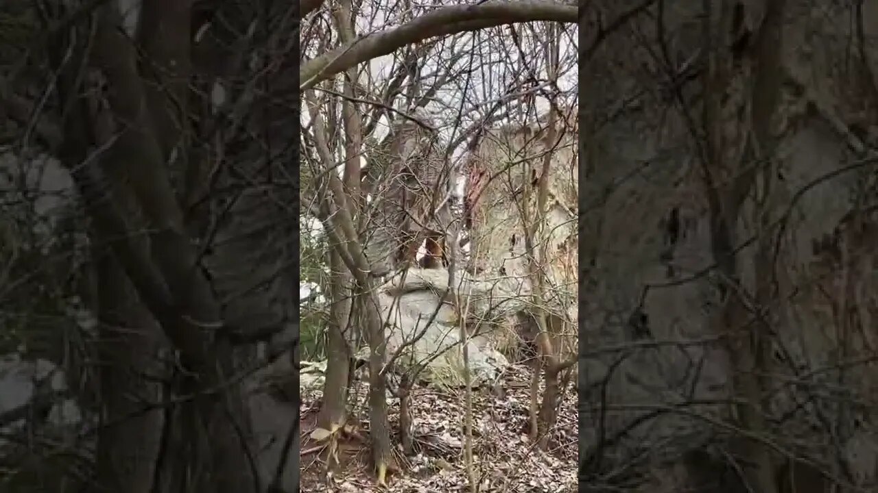 Abandoned Native American Resort Mansion Pt. 3