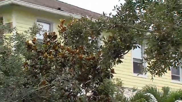 Jupiter apartment catches fire due to possible lightning strike